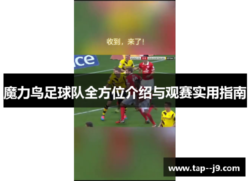 魔力鸟足球队全方位介绍与观赛实用指南 魔力鸟足球队全方位介绍与观赛实用指南
